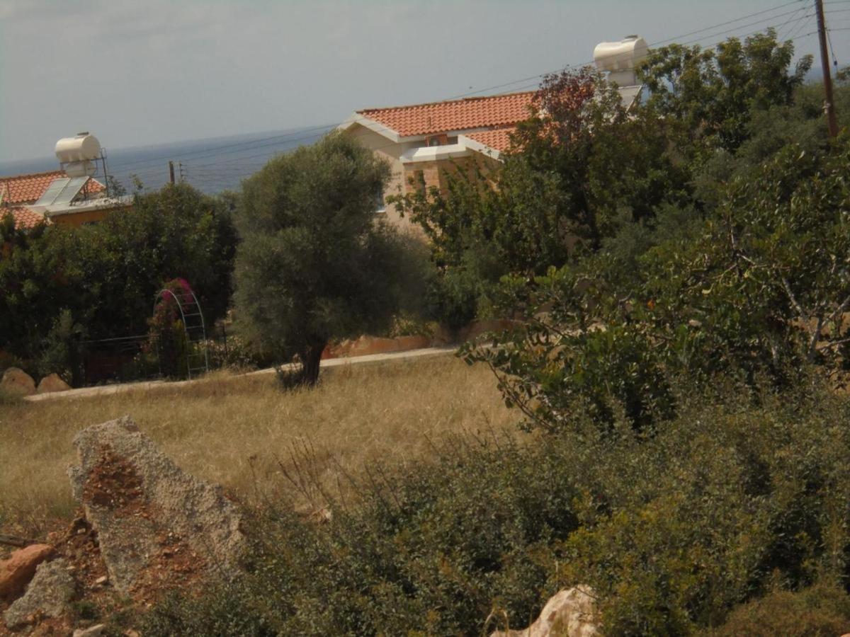 Queen Eyridiki Luxury 1 Willa